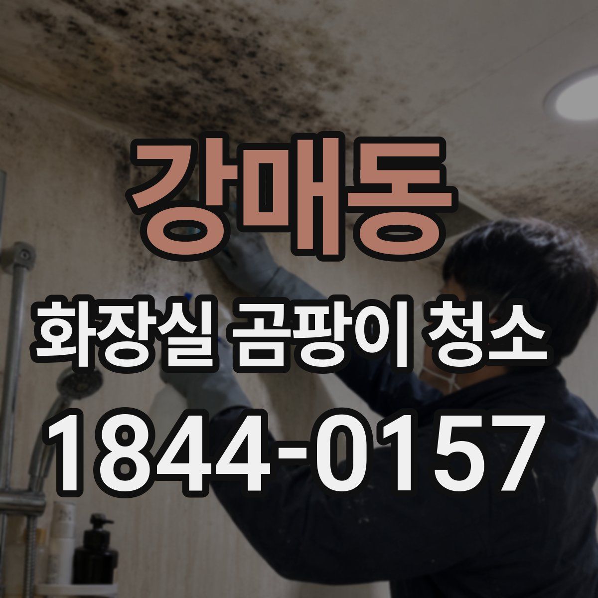 강매동 화장실 곰팡이 청소