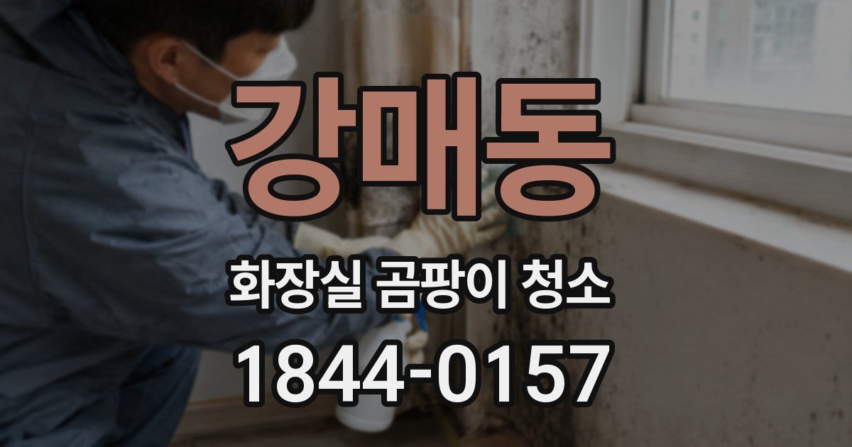 강매동 화장실 곰팡이 청소