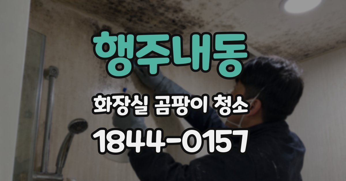 행주내동 화장실 곰팡이 청소