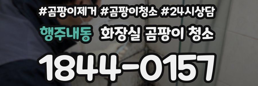 행주내동 화장실 곰팡이 청소