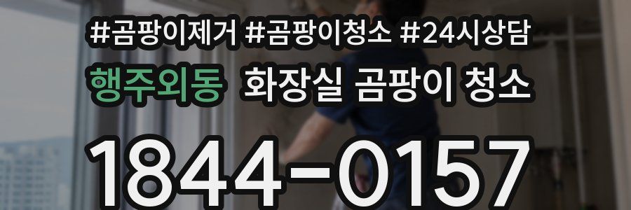 행주외동 화장실 곰팡이 청소