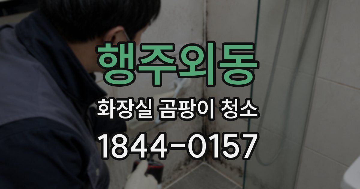 행주외동 화장실 곰팡이 청소