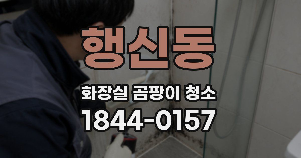 행신동 화장실 곰팡이 청소