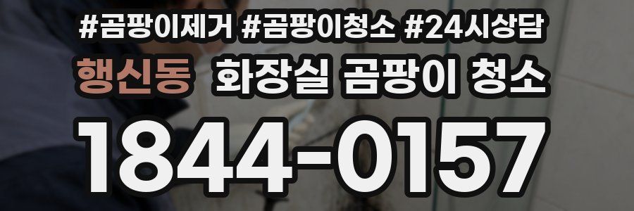 행신동 화장실 곰팡이 청소