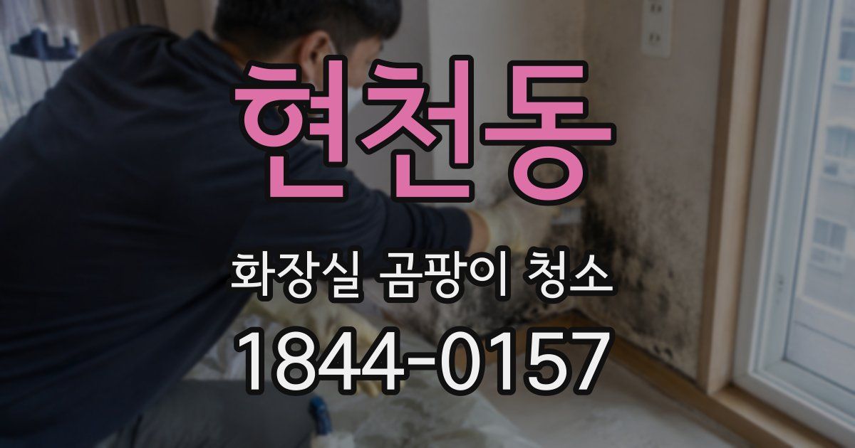 현천동 화장실 곰팡이 청소