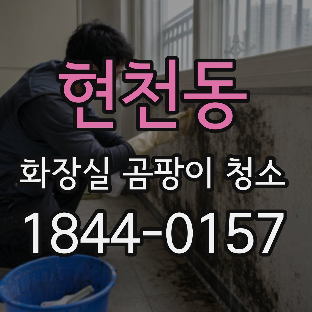 현천동 화장실 곰팡이 청소