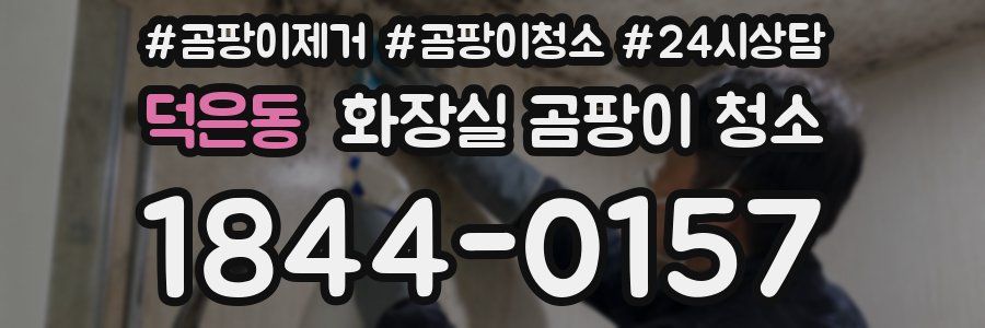 덕은동 화장실 곰팡이 청소