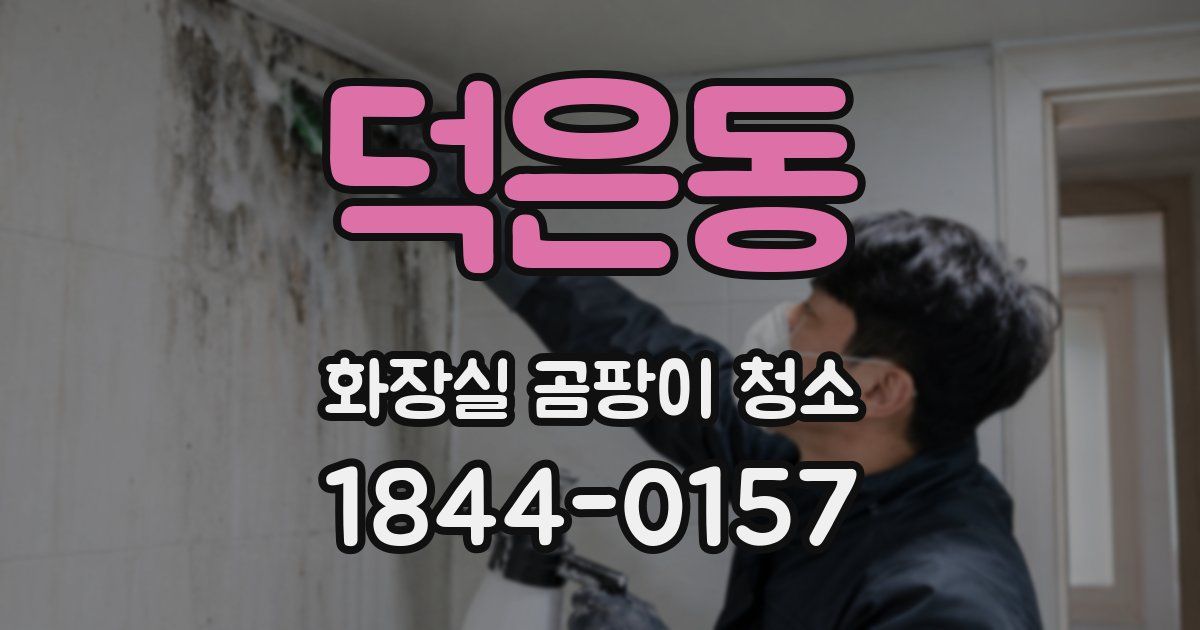 덕은동 화장실 곰팡이 청소