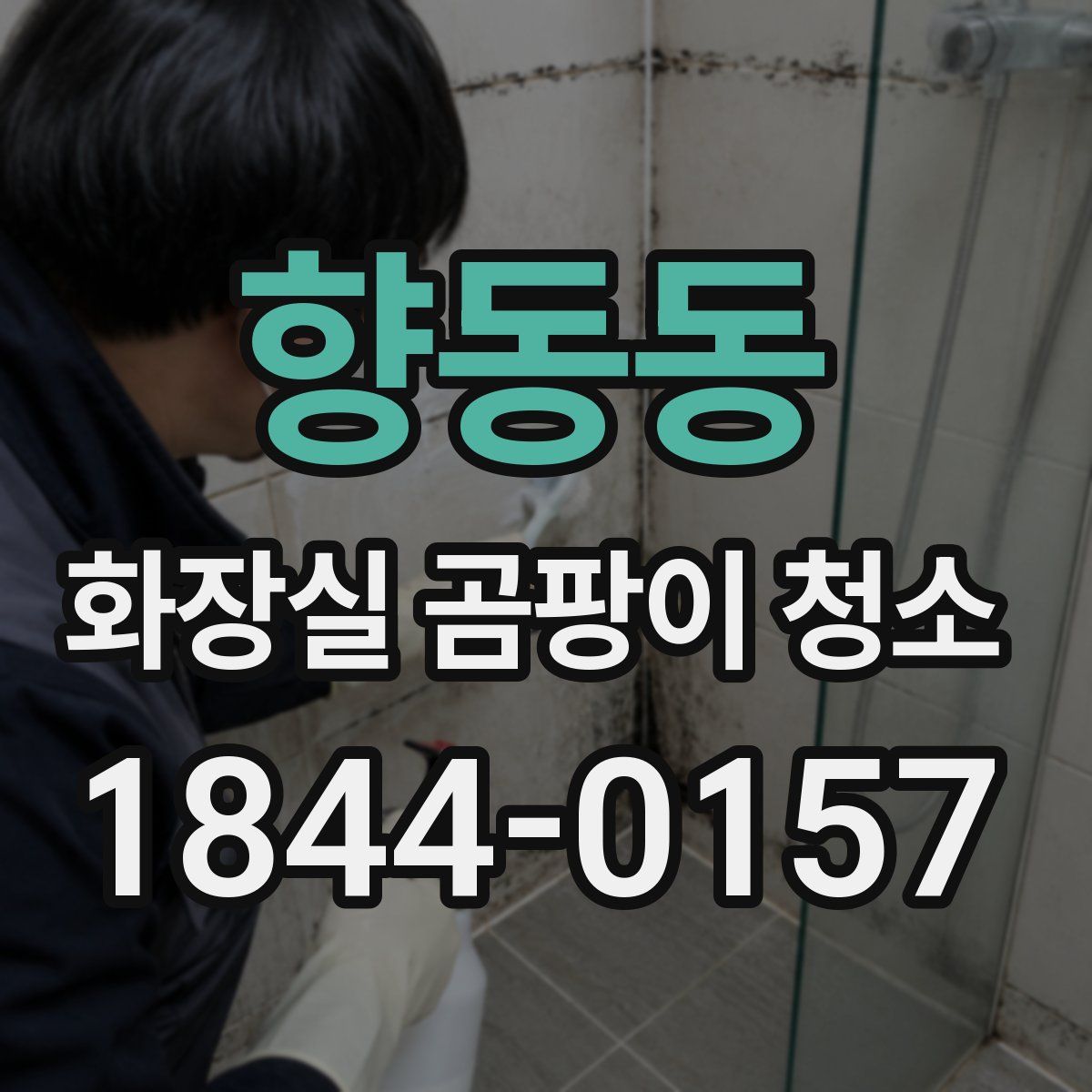 향동동 화장실 곰팡이 청소