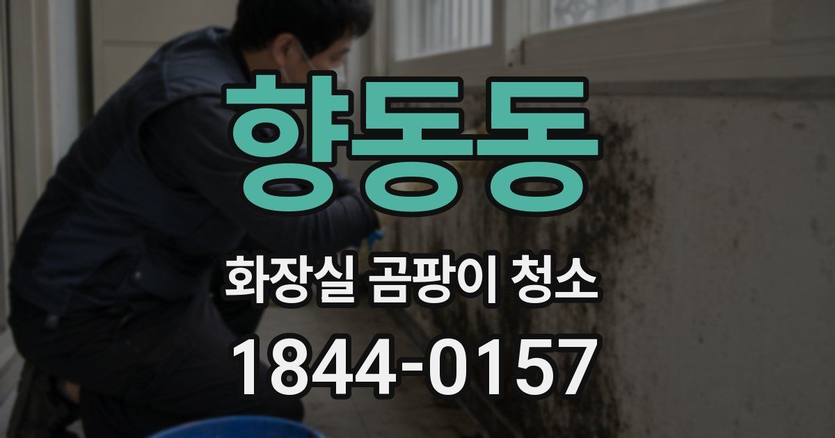 향동동 화장실 곰팡이 청소