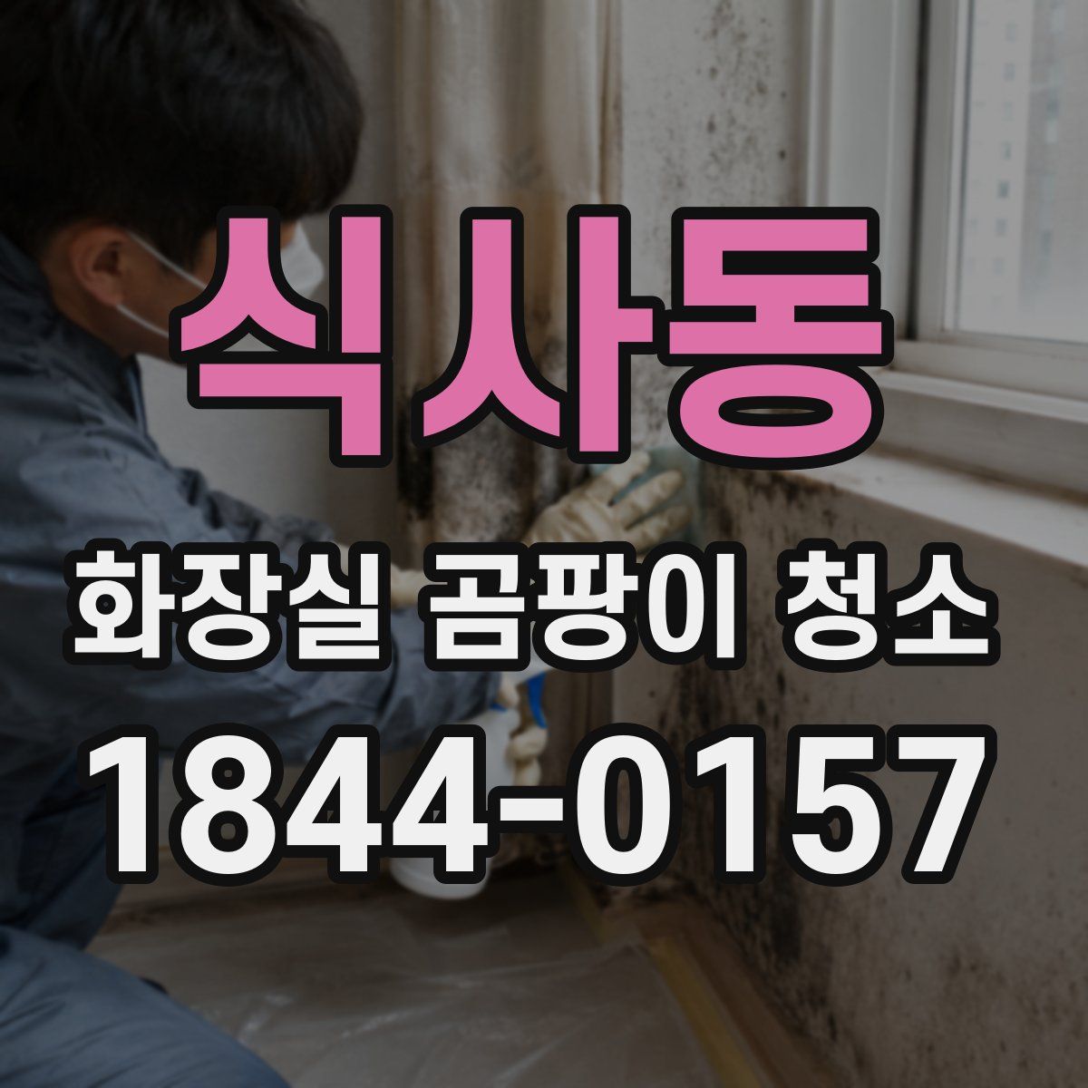 식사동 화장실 곰팡이 청소