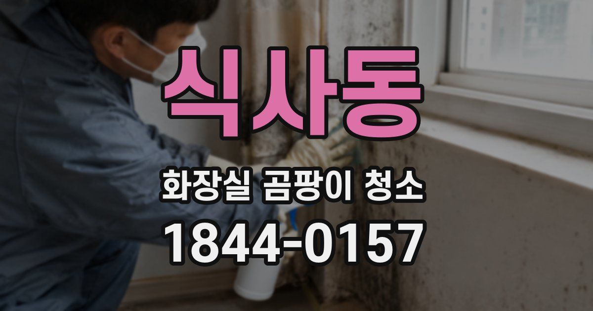 식사동 화장실 곰팡이 청소