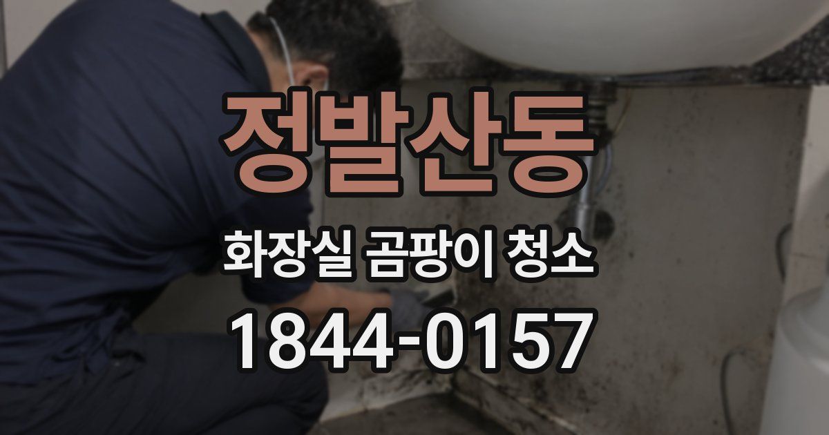 정발산동 화장실 곰팡이 청소