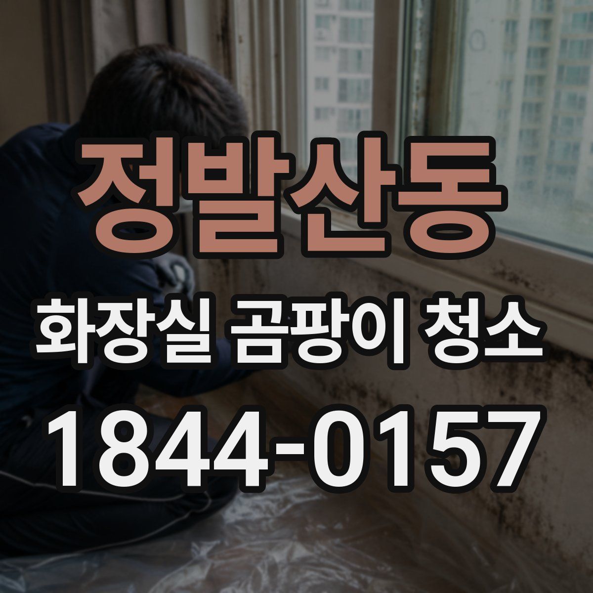 정발산동 화장실 곰팡이 청소