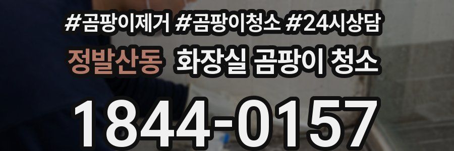 정발산동 화장실 곰팡이 청소