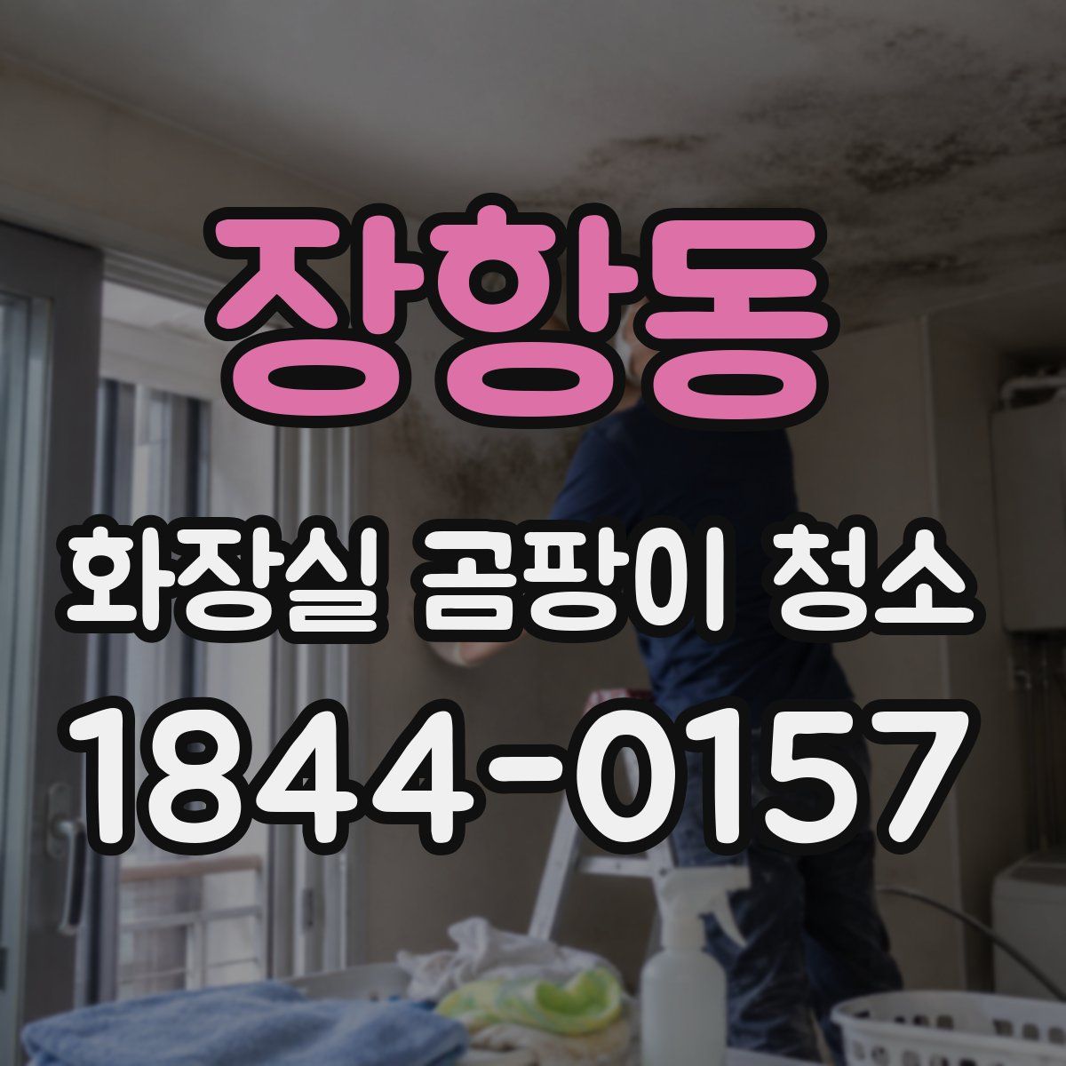 장항동 화장실 곰팡이 청소