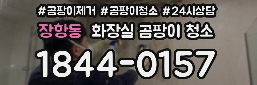 장항동 화장실 곰팡이 청소