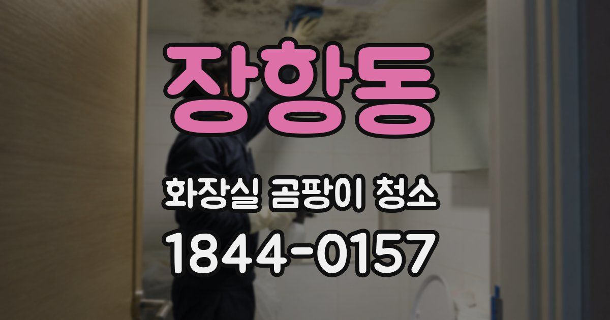 장항동 화장실 곰팡이 청소