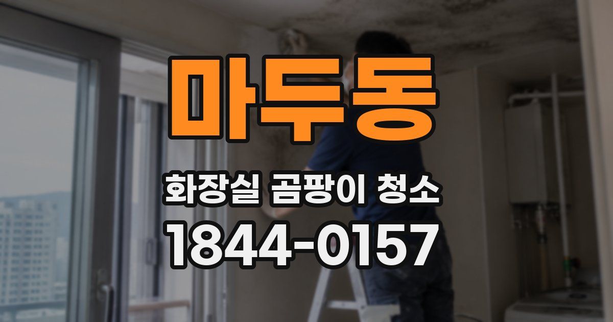 마두동 화장실 곰팡이 청소