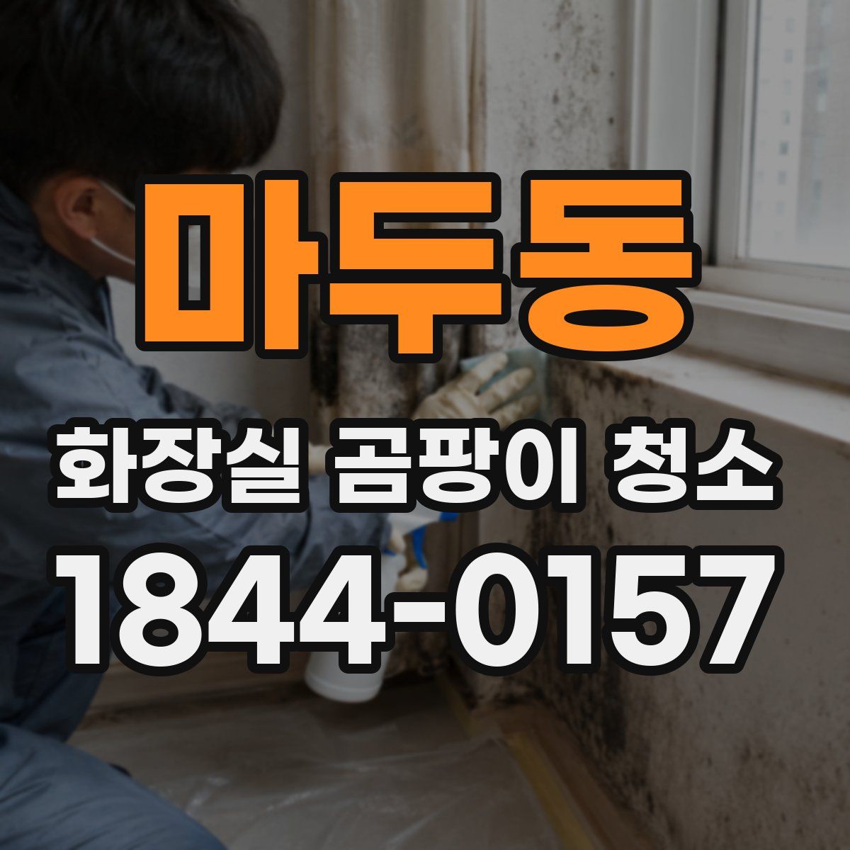 마두동 화장실 곰팡이 청소