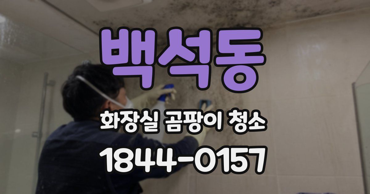 백석동 화장실 곰팡이 청소