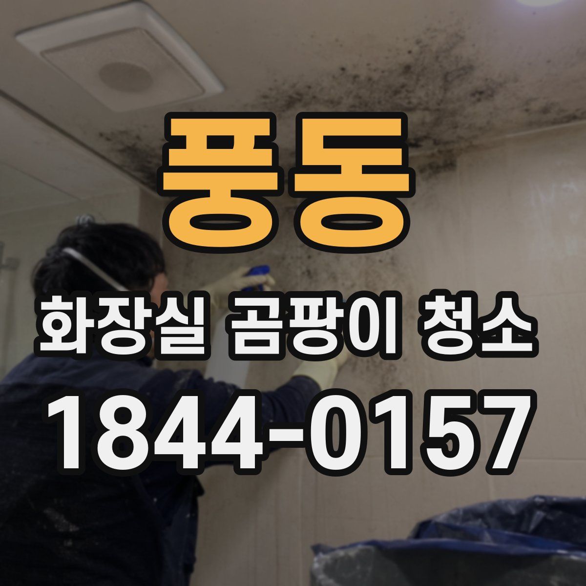 풍동 화장실 곰팡이 청소