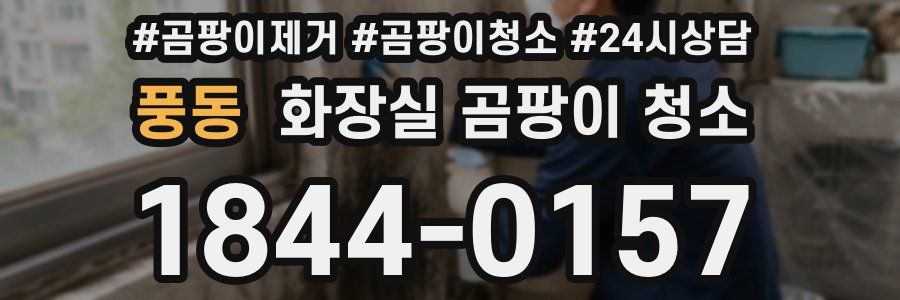 풍동 화장실 곰팡이 청소