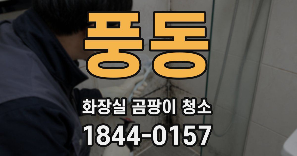 풍동 화장실 곰팡이 청소