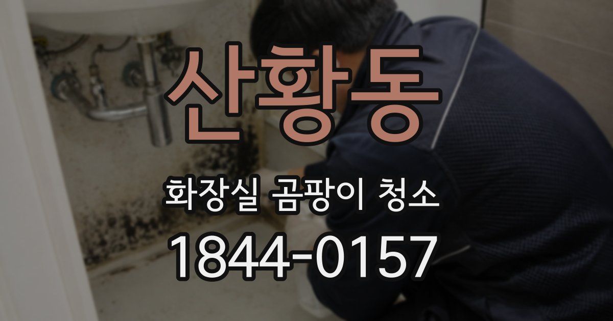 산황동 화장실 곰팡이 청소
