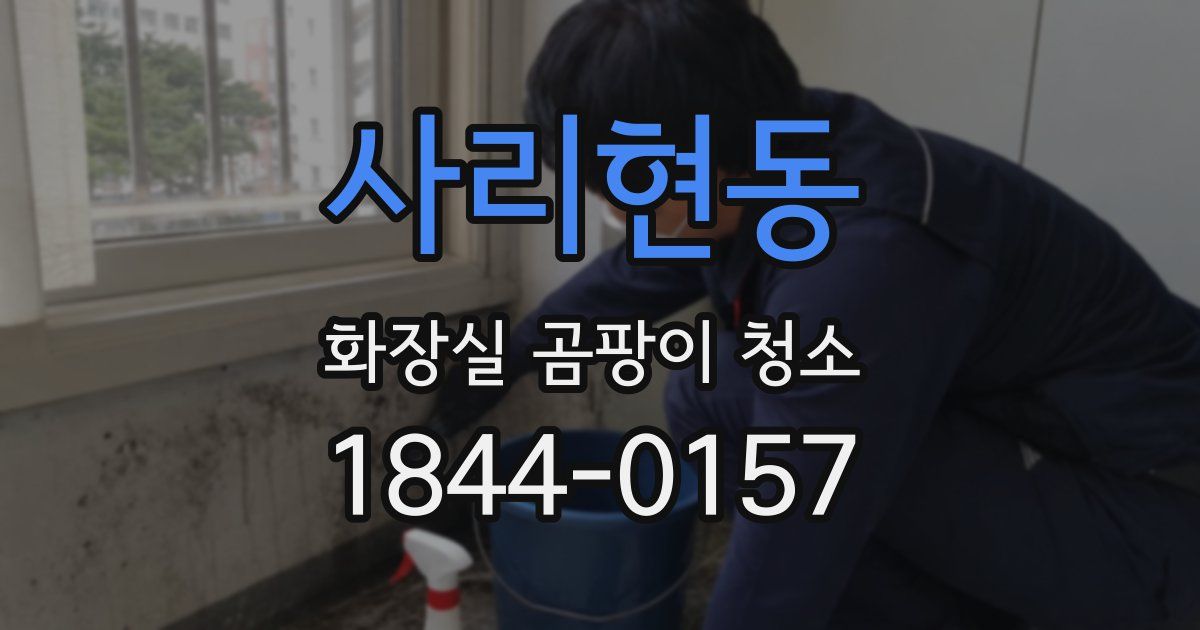 사리현동 화장실 곰팡이 청소