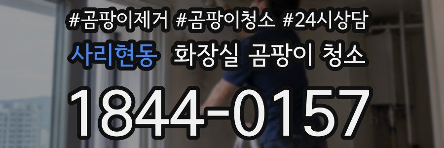 사리현동 화장실 곰팡이 청소