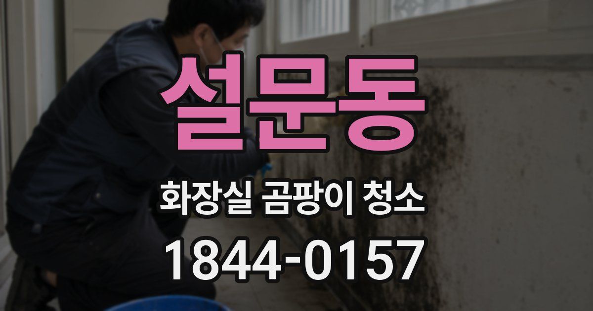 설문동 화장실 곰팡이 청소