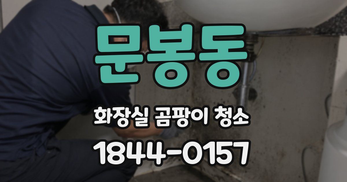 문봉동 화장실 곰팡이 청소