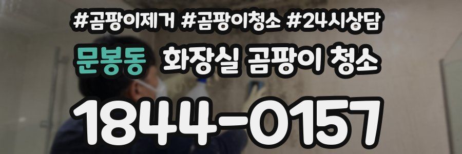 문봉동 화장실 곰팡이 청소