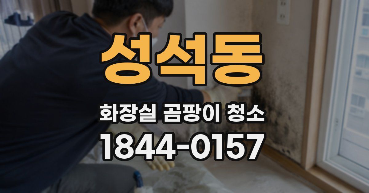 성석동 화장실 곰팡이 청소