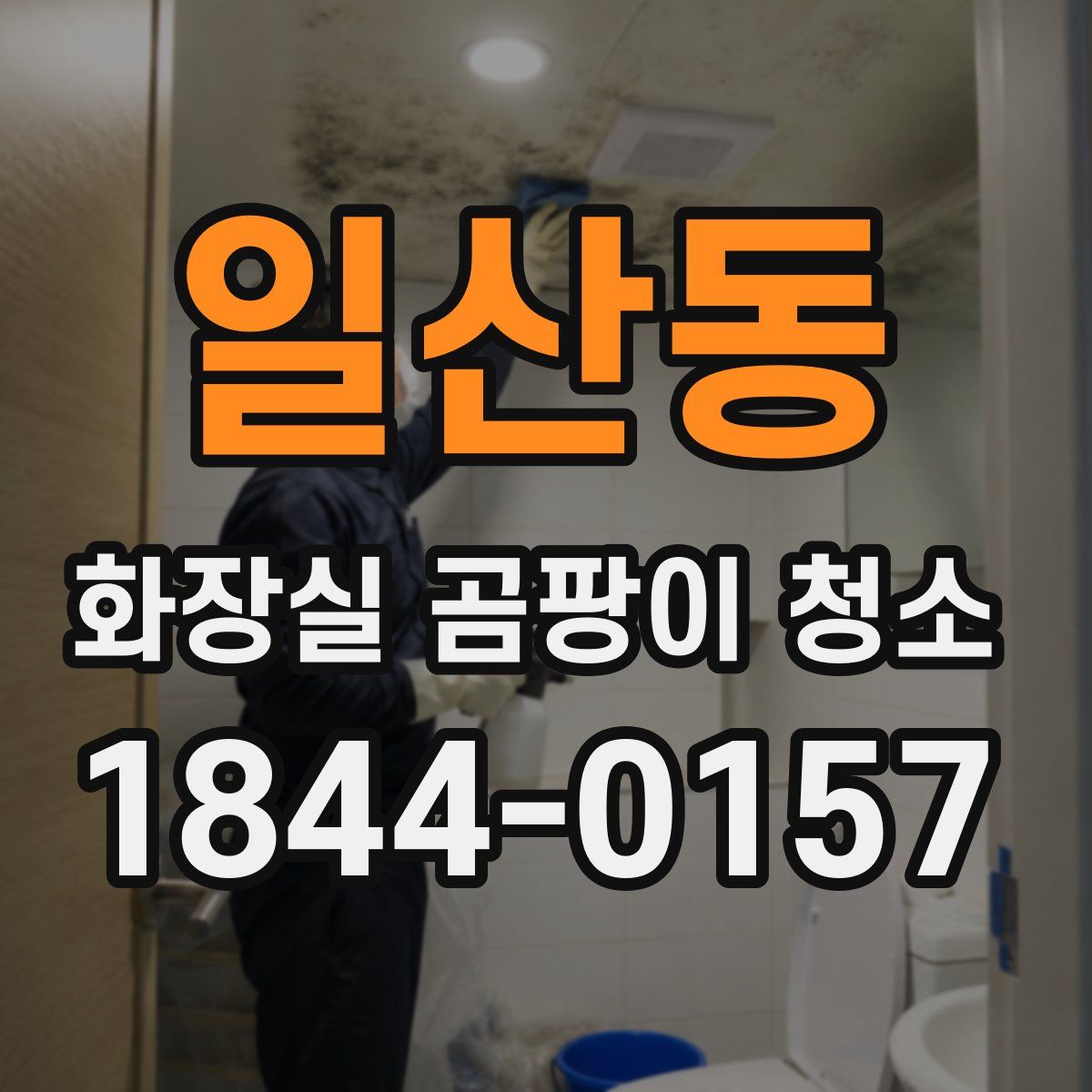 일산동 화장실 곰팡이 청소