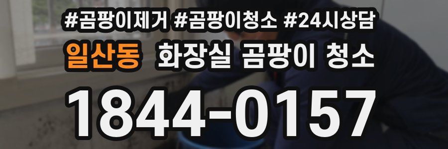 일산동 화장실 곰팡이 청소