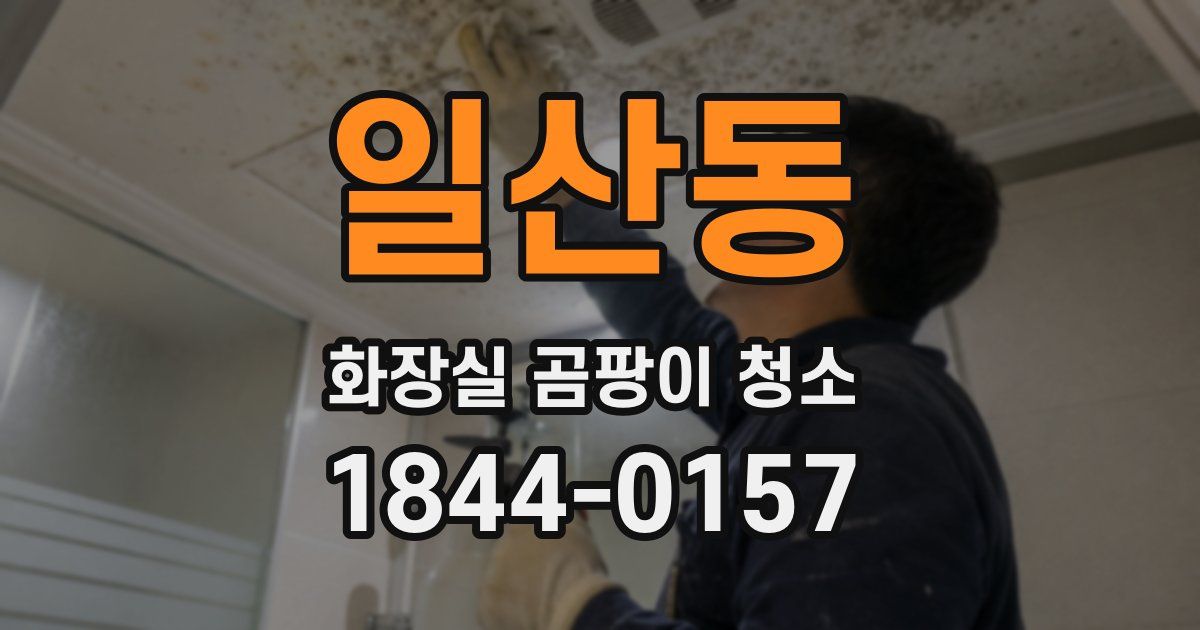일산동 화장실 곰팡이 청소