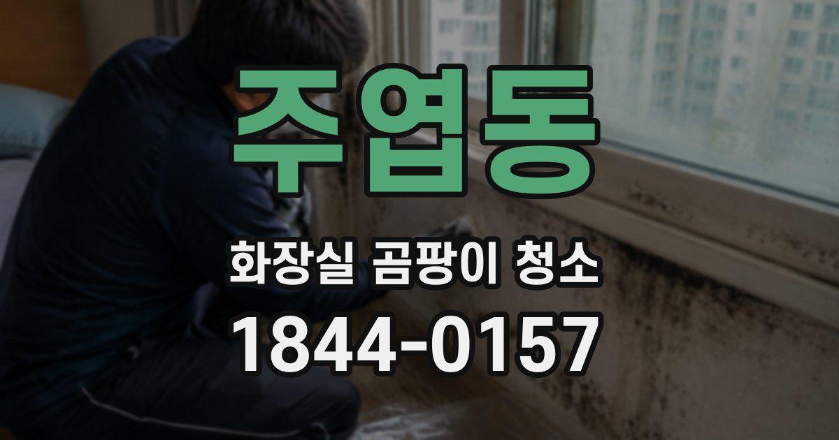 주엽동 화장실 곰팡이 청소