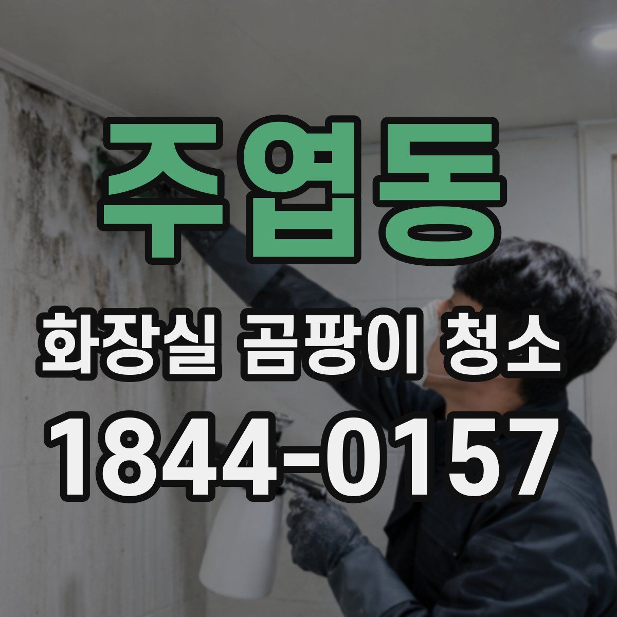 주엽동 화장실 곰팡이 청소