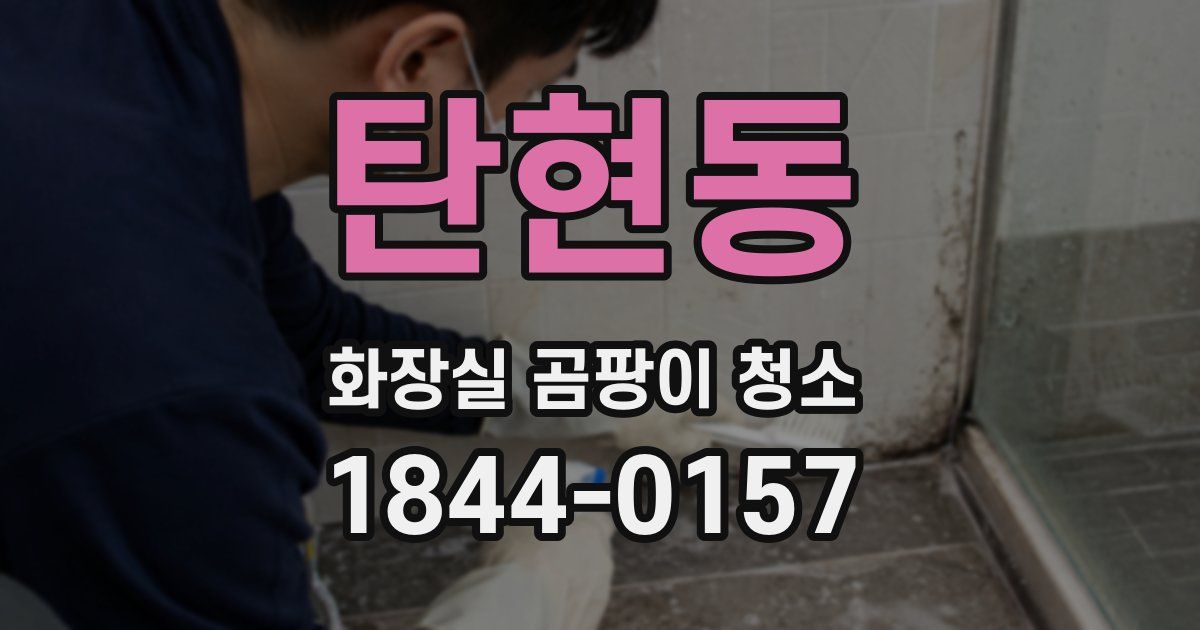 탄현동 화장실 곰팡이 청소