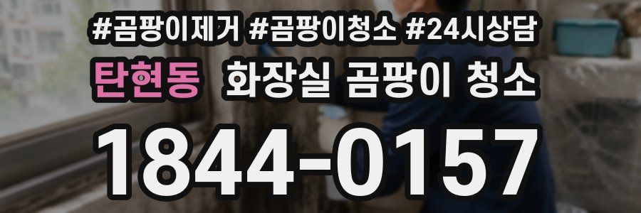 탄현동 화장실 곰팡이 청소