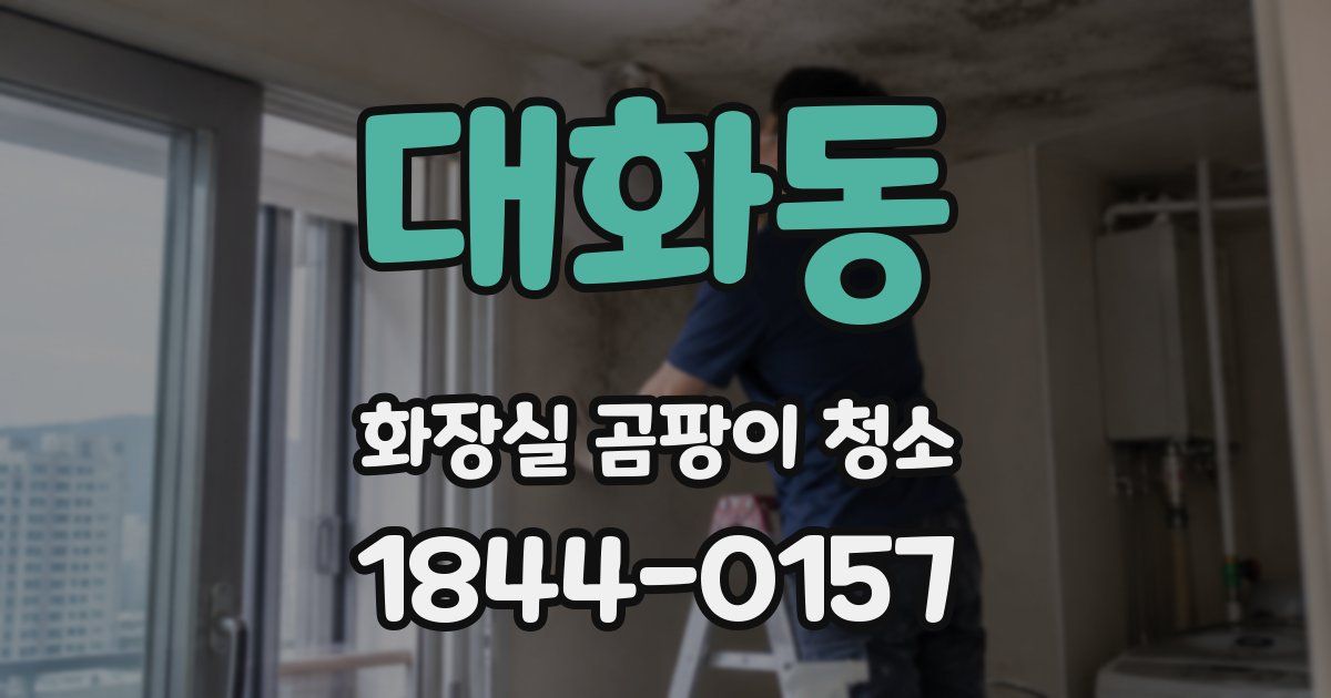 대화동 화장실 곰팡이 청소