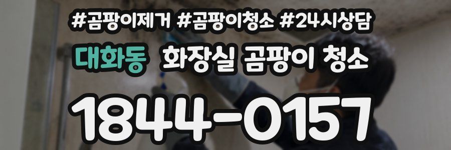 대화동 화장실 곰팡이 청소