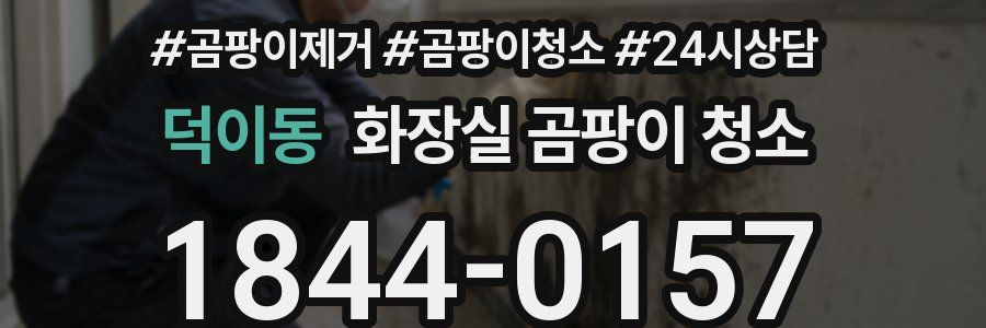 덕이동 화장실 곰팡이 청소
