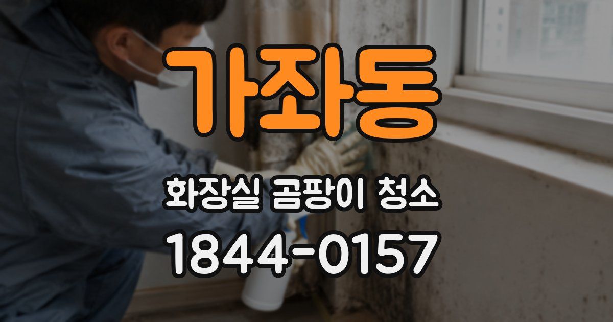 가좌동 화장실 곰팡이 청소