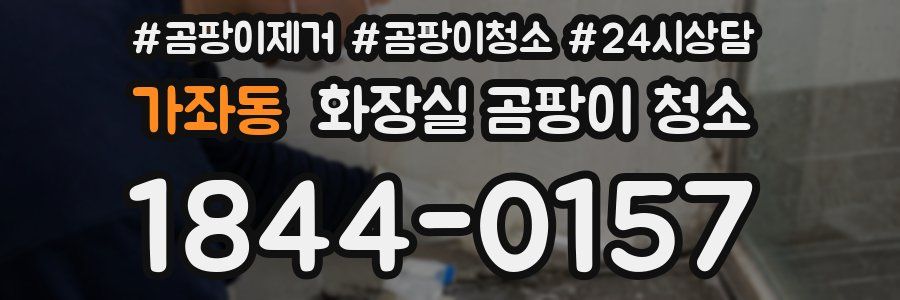 가좌동 화장실 곰팡이 청소