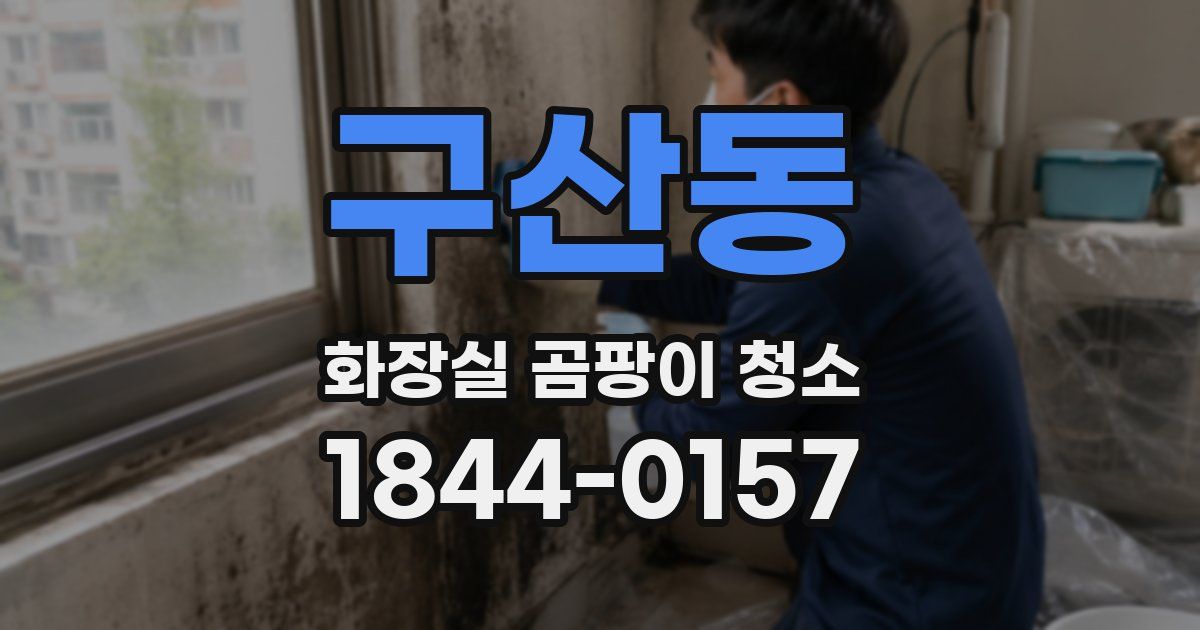 구산동 화장실 곰팡이 청소