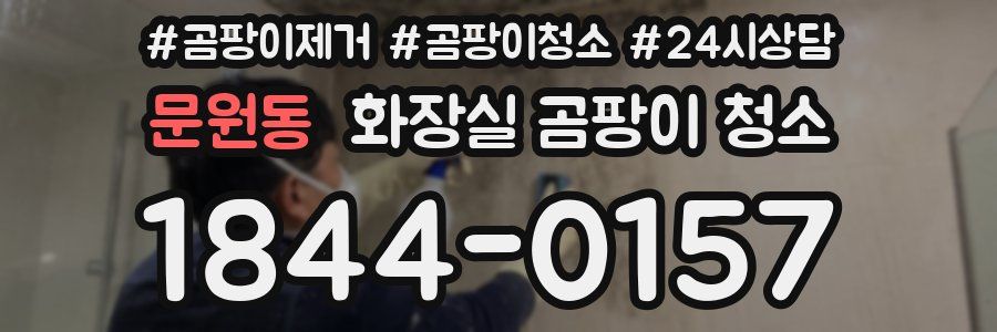 문원동 화장실 곰팡이 청소