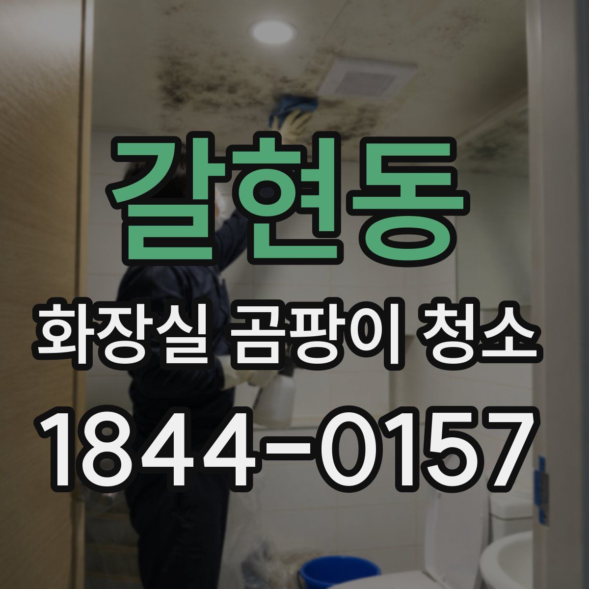 갈현동 화장실 곰팡이 청소